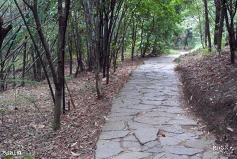 桂林月亮山景区旅游攻略 之 登山道