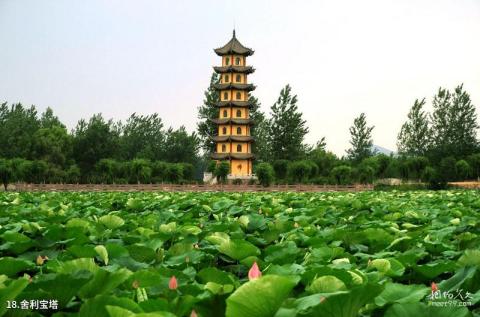 临沂盛能游乐园旅游攻略