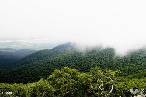 黑龙江喀尔喀山风景区旅游攻略 之 森林