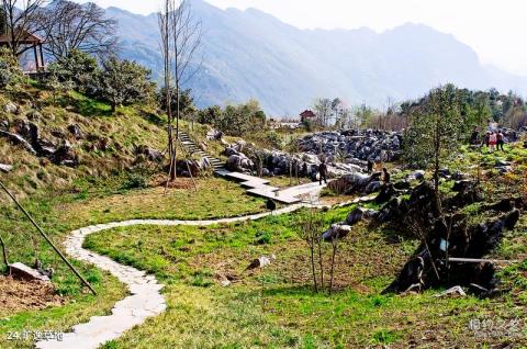 绵阳北川药王谷旅游攻略 之 旷逸草地