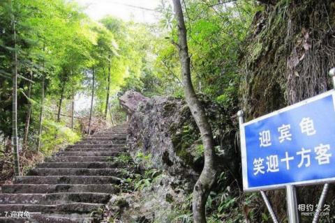 福建永泰名山室旅游攻略 之 迎宾龟