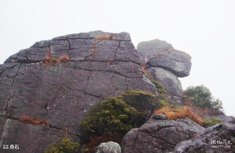 建宁闽江源金铙山旅游区旅游攻略 之 奇石