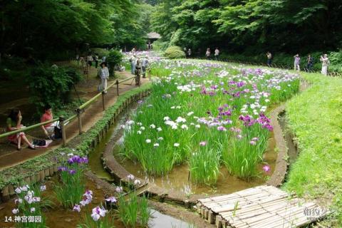 东京明治神宫旅游攻略 之 神宫御园