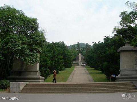 南京钟山和中山陵风景区旅游攻略 之 中山植物园