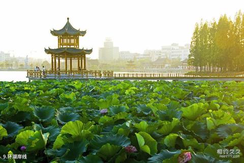 湖北天门陆羽故园旅游攻略 之 环湖岸线