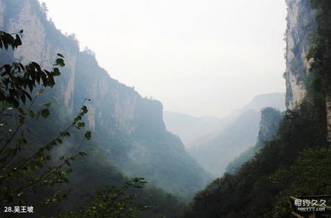 张家界大峽谷旅游攻略 之 吴王坡