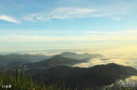 福安白云山风景区旅游攻略 之 云海