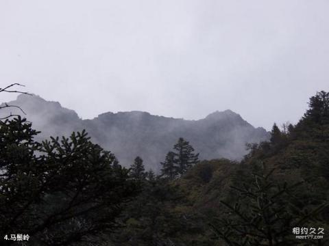 彭州龙门山风景区旅游攻略 之 马鬃岭