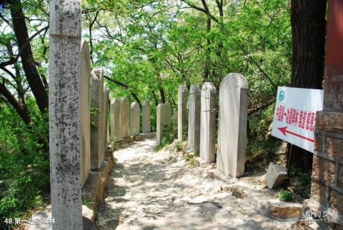 平度大泽山风景区旅游攻略 之 第一功德碑林