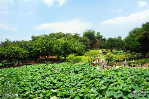 广州莲花山旅游区旅游攻略 之 莲花仙境