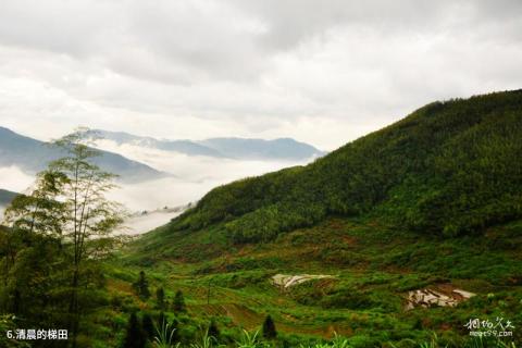 福建尤溪联合梯田旅游攻略 之 清晨的梯田