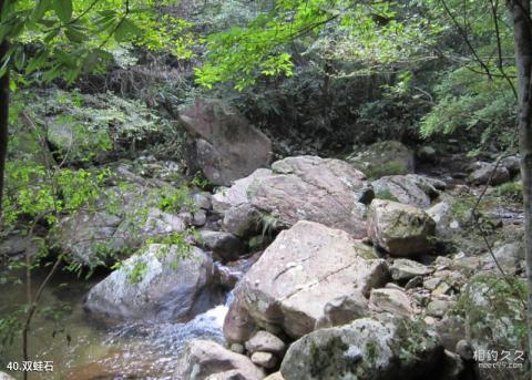 遂昌千佛山自然风景区旅游攻略 之 双蛙石