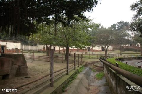 重庆动物园旅游攻略 之 扭角羚馆