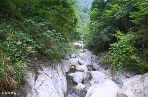 岳西天峡风景区旅游攻略 之 水牛沐浴