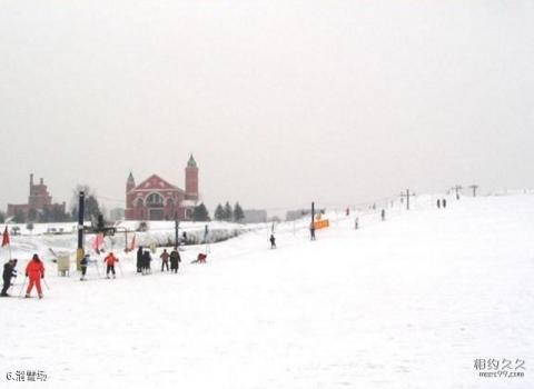 哈尔滨欧亚之窗公园旅游攻略 之 滑雪场