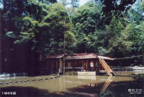 三明格氏栲国家森林公园旅游攻略 之 林中乐园