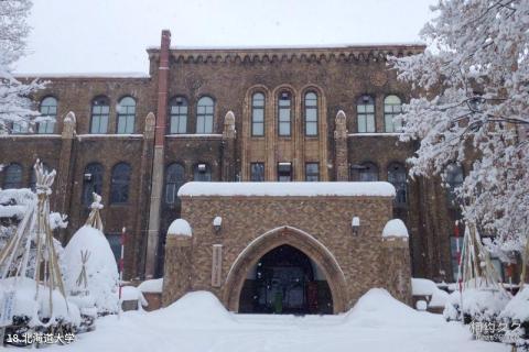 日本札幌旅游攻略 之 北海道大学