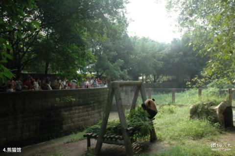 重庆动物园旅游攻略 之 熊猫馆