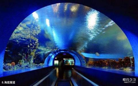 山海关欢乐海洋公园旅游攻略 之 海底隧道