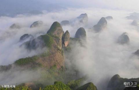 邵阳崀山风景名胜区旅游攻略 之 鲸鱼闹海