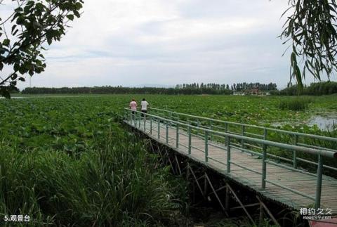 方正莲花湖公园旅游攻略 之 观景台