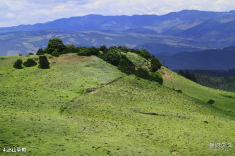 攀枝花攀西大裂谷格萨拉生态旅游区旅游攻略 之 高山草甸