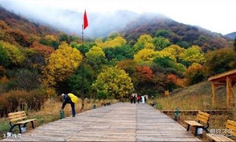 巩留野核桃沟景区旅游攻略 之 木栈道