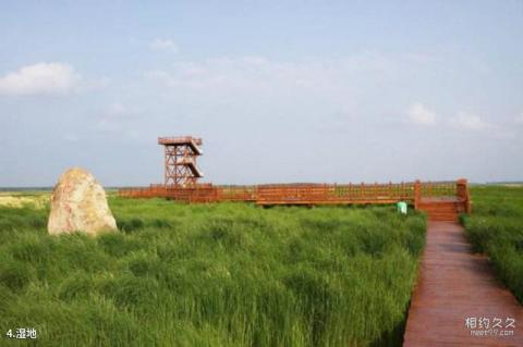 黑龙江雁窝岛旅游度假区旅游攻略 之 湿地