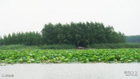 微山湖湿地红荷旅游区旅游攻略 之 钓鱼岛