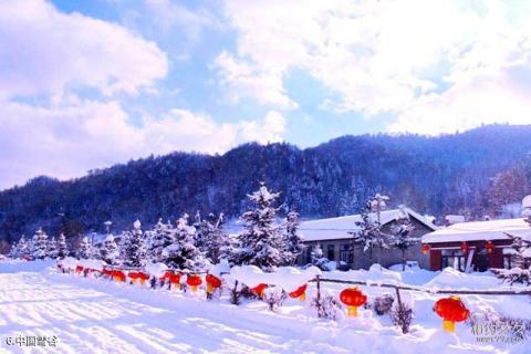 黑龙江森工凤凰山森林旅游区旅游攻略 之 中国雪谷