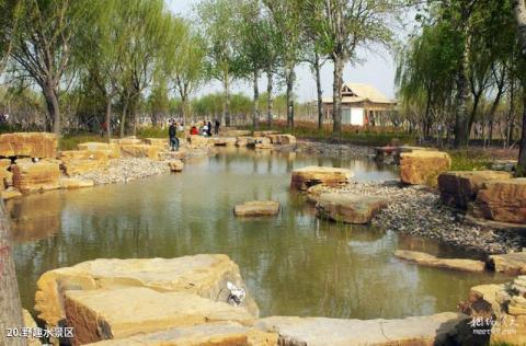 菏泽曹州牡丹园旅游攻略 之 野趣水景区