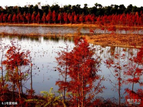 上海吴淞炮台湾国家湿地公园旅游攻略