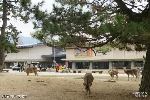 日本奈良旅游攻略 之 奈良国立博物馆