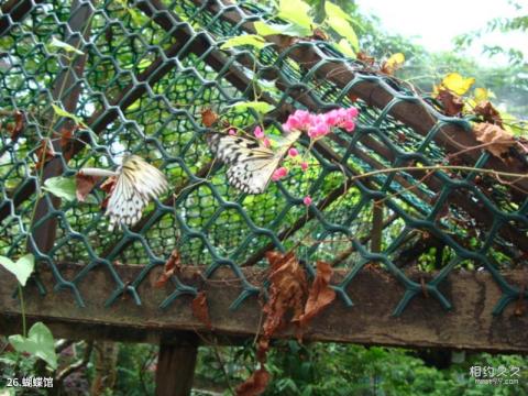 上海动物园旅游攻略 之 蝴蝶馆