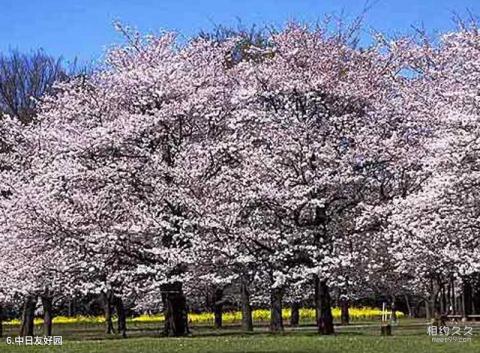 青岛植物园旅游攻略 之 中日友好园