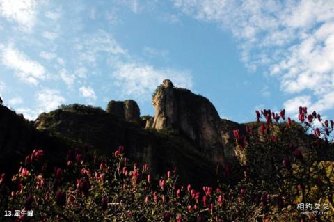 雁荡山风景区旅游攻略 之 犀牛峰