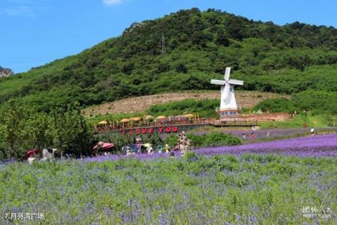 大连紫云花汐薰衣草庄园旅游攻略 之 月亮湾广场