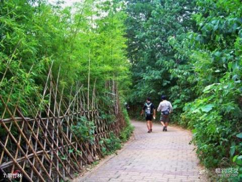 许昌紫云山旅游攻略 之 翠竹林