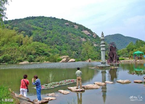 慈溪五磊山旅游攻略 之 莲花园