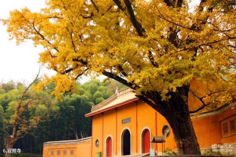 宜兴竹海风景区旅游攻略 之 寂照寺