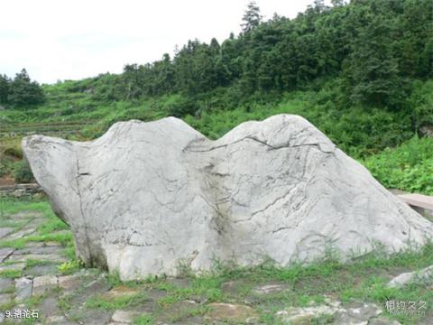 丫山花海石林旅游攻略 之 骆驼石