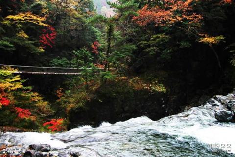 甘肃莲花山国家级自然保护区旅游攻略 之 喜泉飞瀑