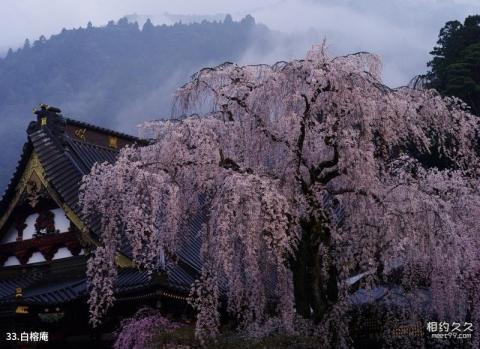 青岛崂山景区旅游攻略 之 白榕庵