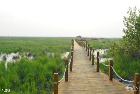 黑龙江洪河国家级自然保护区旅游攻略 之 湿地