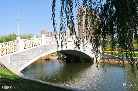 天津南翠屏公园旅游攻略 之 碧荷桥