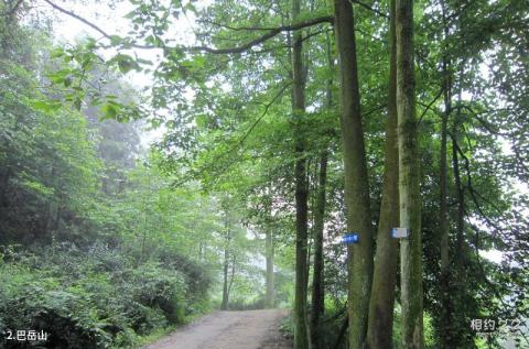 重庆巴岳山―西温泉风景区旅游攻略 之 巴岳山