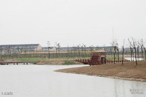 江阴长江之星农业湿地生态园旅游攻略 之 生态湖