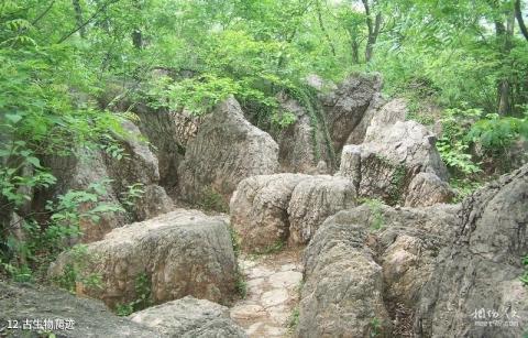 淮南八公山风景区旅游攻略 之 古生物爬迹