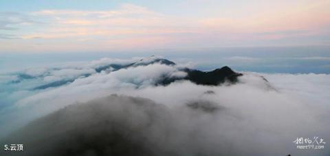 五指山热带雨林风景区旅游攻略 之 云顶