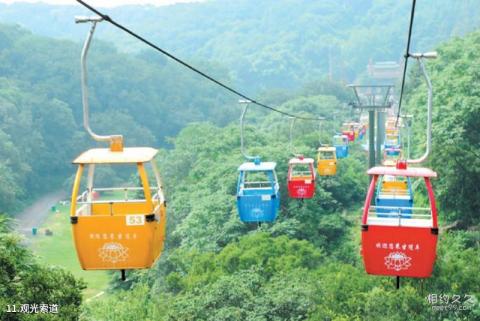 南京珍珠泉风景区旅游攻略 之 观光索道